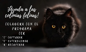 Proyecto Crowdfunding Colonias Felinas Complutense